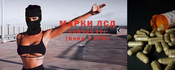 ГАЛЛЮЦИНОГЕННЫЕ ГРИБЫ Бородино