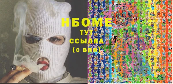 прущие грибы Верхний Тагил