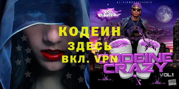 прущие грибы Верхний Тагил
