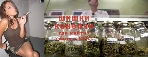 прущие грибы Верхний Тагил