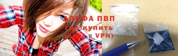 спиды Верея