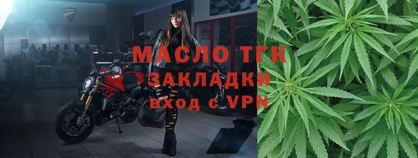 прущие грибы Верхний Тагил